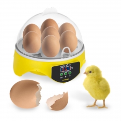 Incubadora, incubadora para 7 huevos